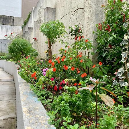 505 - Apartamento Lindo, Amplo E Decorado, Mobiliario Moderno, Cozinha Completa Com Utensilios , Excelente Vista Da Cidade E Localizacao Privelegiada No Bairro Bigorrilho Proximo De Shopping E Parques Curitiba Exteriér fotografie
